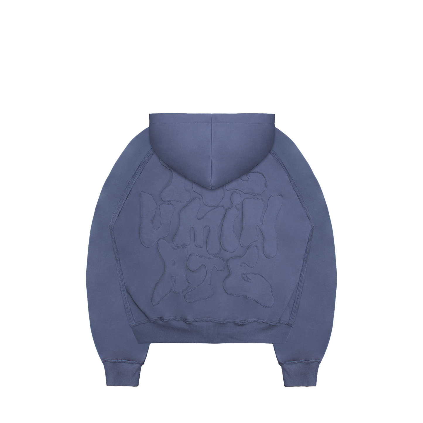 2026 Infected Hoodie